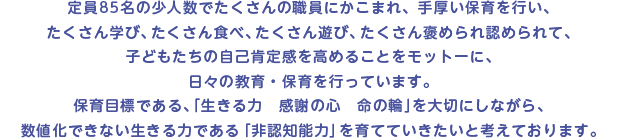 定員85名の少人数でたくさんの職員にかこまれ、手厚い保育を行い、
たくさん学び、たくさん食べ、たくさん遊び、たくさん褒められ認められて、子どもたちの自己
肯定感を高めることをモットーに、日々の教育・保育を行っています。
保育目標である、「生きる力　感謝の心　命の輪」を大切にしながら、数値化できない生きる力である「非認知能力」を育てていきたいと考えております。
