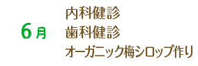 6月 内科健診 歯科健診 オーガニック梅シロップ作り 